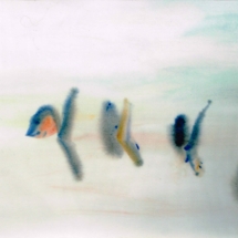 Peixos