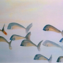 Peixos