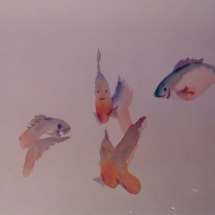 Peixos