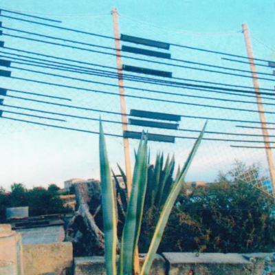 Vista anterior