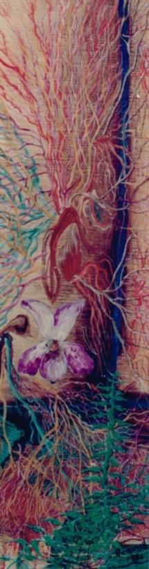 Violeta